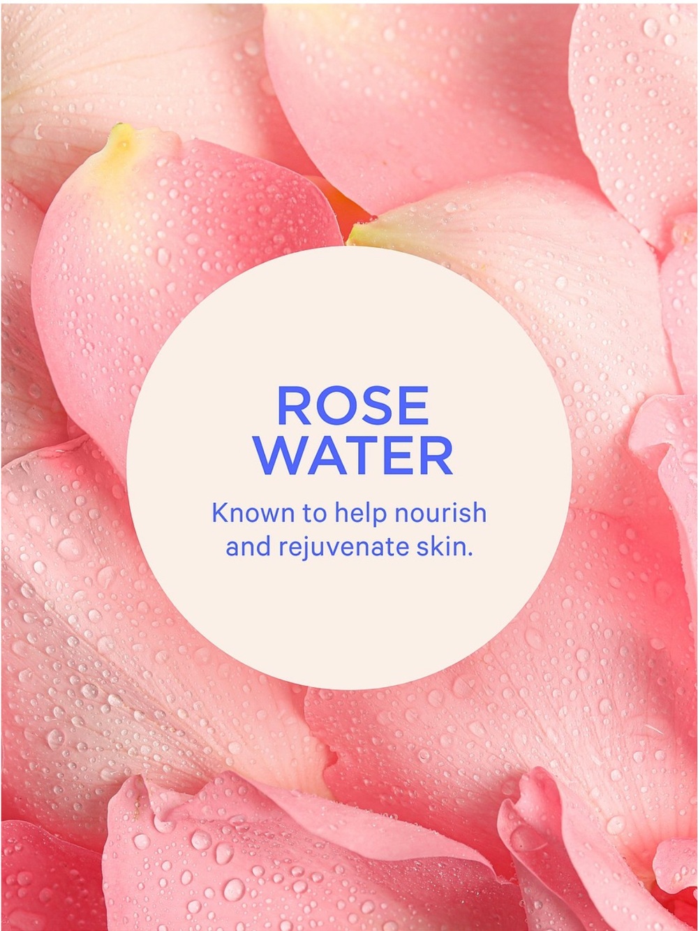 3pc Wild Rose Amber Gift Set ft. Exclusive Body Care Minis and Crushed Candl - Picture 3 of 6